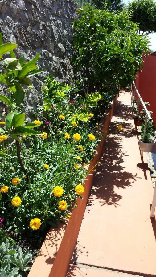 Vila "Mare" Banjol Exterior foto